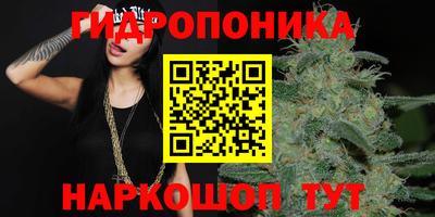 шишки Ирбит