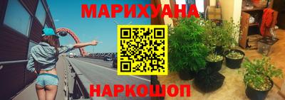 шишки Ирбит