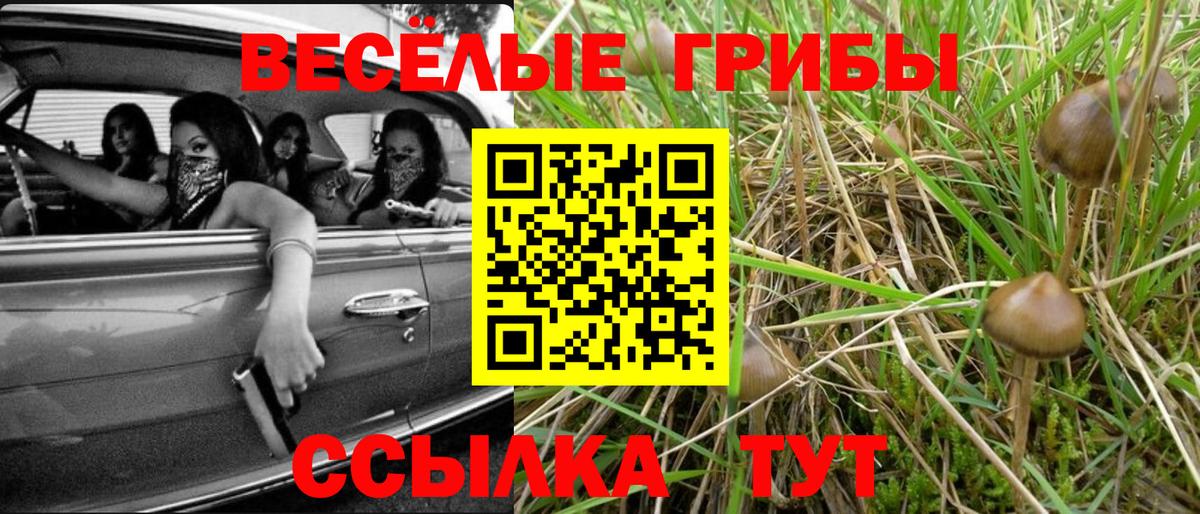 Галлюциногенные грибы мухоморы  Торжок  Галлюциногенные грибы Magic Shrooms 