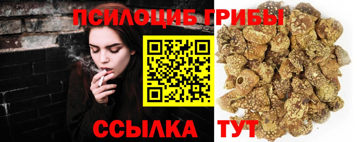 Псилоцибиновые грибы Psilocybine cubensis  Вход с VPN  Торжок 