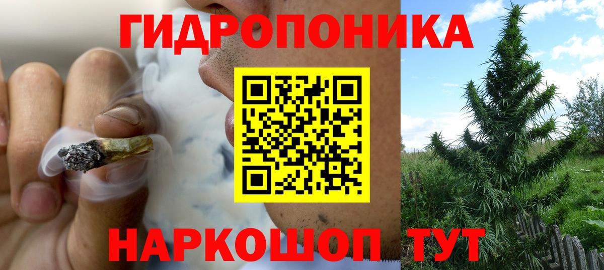 Каннабис OG Kush Торжок