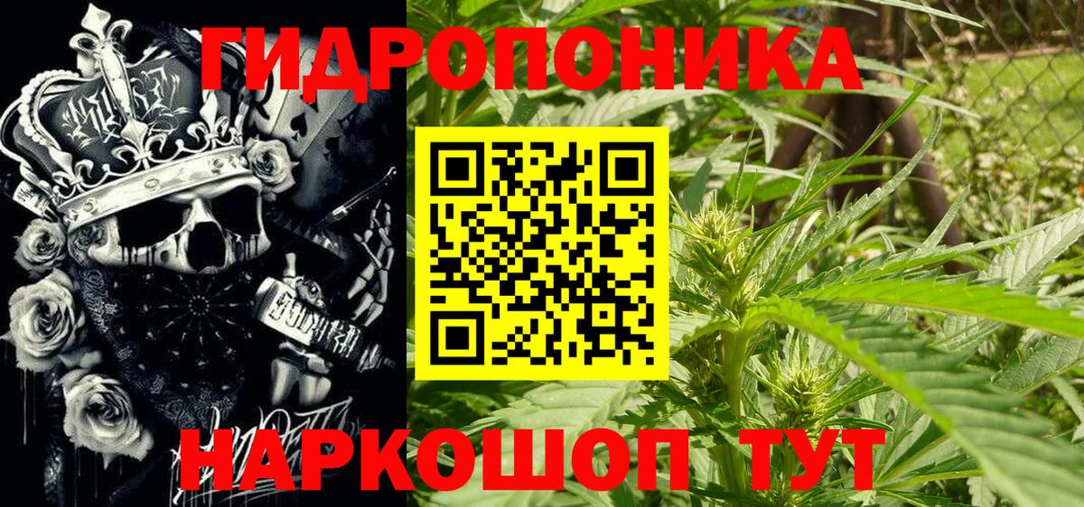 Канабис конопля Торжок